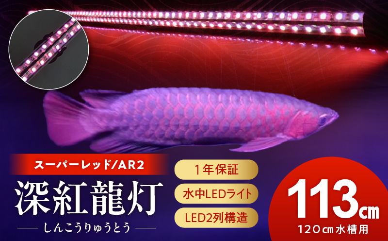 紅龍オーナー必見!一瞬でアロワナを美しく魅せる水中LEDライト|AR2-120-EX［172C20］紅龍 専用 スーパーレッド 赤 照射 水中 アロワナ 水槽ライト テンニングライト LED ライト 照明 水中照明 光 綺麗 強化ガラス 耐久性 吸盤 1年保証 簡単 設置 でんらい インテリア 雑貨 愛知県 小牧市 送料無料