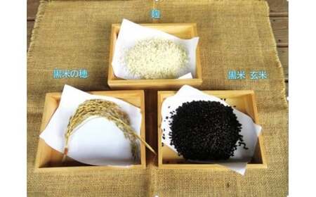 紅白甘酒セット＆黒米（ ノンアルコール ） 玖珠町産 黒米 玄米 もち米 甘酒 あま酒 ノンアルコール アントシアニン 免疫力 栄養素 手作業 自家製 籾すり器 免疫 自然 食生活 料理 健康 体に良