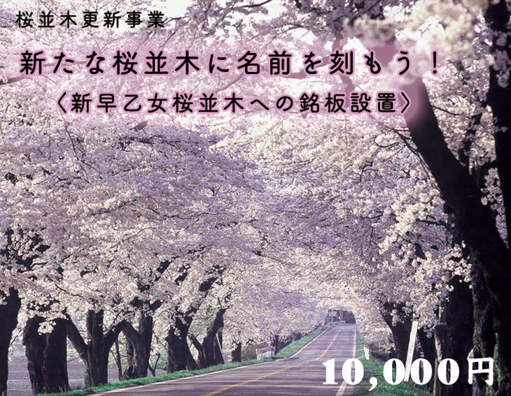 
                  クラウドファンディング　新たな桜並木に名前を刻もう！〈新早乙女桜並木への銘板設置〉10,000円
                