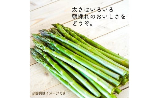 
            アスパラ 約3kg M-2L 【2025年4月下旬～6月下旬迄発送予定】アスパラ 野菜 やさい 旬 北海道
          