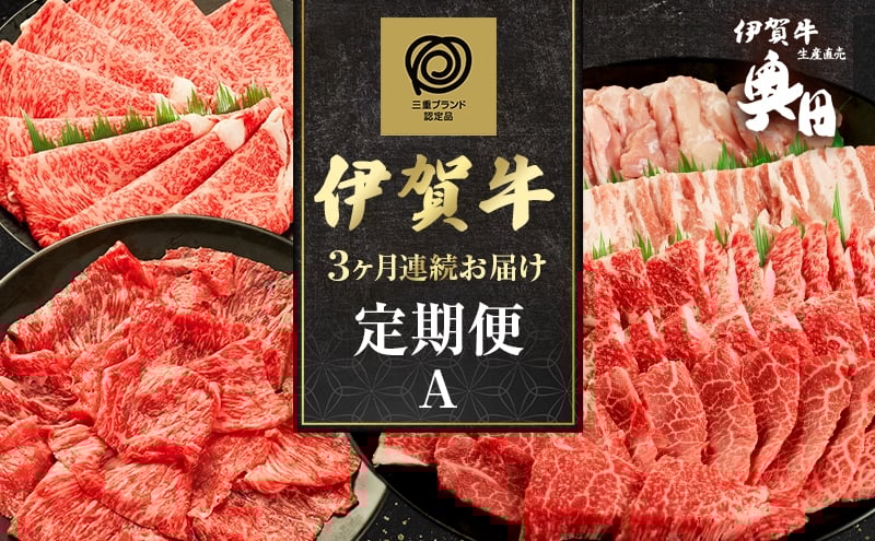 
            伊賀牛 3ヶ月連続お届け 定期便 A [ 伊賀牛牛トロ刺し すき焼きセット 焼肉セット5人盛り ] オクダ 牛肉 高級 和牛 肉 伊賀牛肉 伊賀 人気 自宅用 グルメ お取り寄せ 誕生日 お祝い ご馳走 パーティー 贅沢 三重 三重県
          