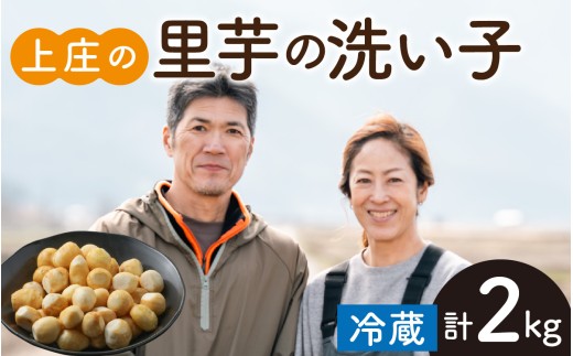【先行予約】皮むきいらず、煮っ転がしに最適！上庄の里芋の洗い子【冷蔵】2kg 【10月中旬より順次発送】