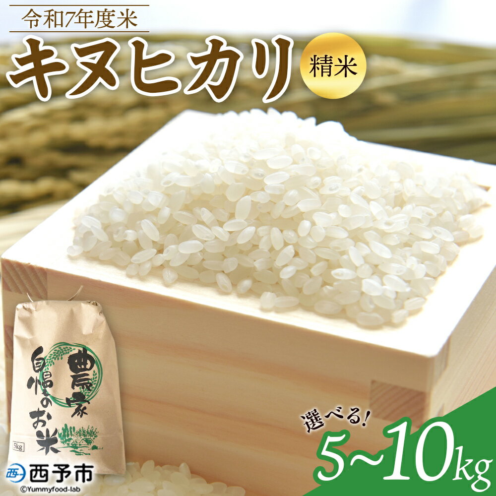 【ふるさと納税】【先行予約】新米 ＜令和7年度 米 キヌヒカリ 精米 5kg/10kg＞ 2025年産 単一原料米 単一米 5キロ 10キロ きぬひかり お米 コメ こめ 白米 ご飯 ライス りの果樹園 愛媛県 西予市【常温】『2025年10月頃から順次出荷予定』
