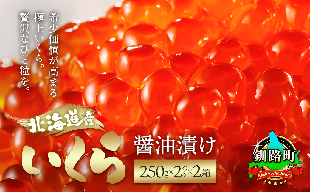 いくら醤油漬け ＜250g×2パック入り 500g＞×2箱 ＜北海道産の鮭卵＞【配送不可地域：離島】