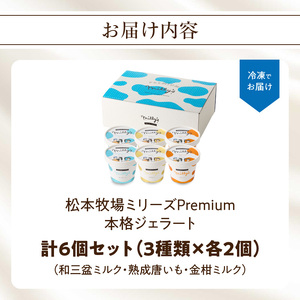 【最速配送】松本牧場ミリーズ Premium 6個 ／ アイス ジェラート アイスクリーム【B164】