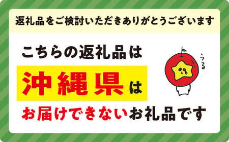 りんご シナノスイート 秀～特秀5kg マルハ農園 沖縄県への配送不可 2025年10月上旬頃から2025年11月上旬頃まで順次発送予定 令和7年度収穫分 エコファーマー認定 信州 果物 フルーツ リ