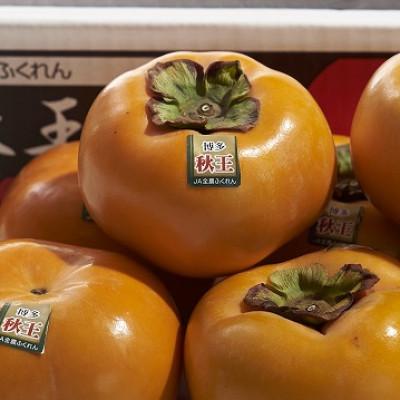 ふるさと納税 大任町 【先行受付】福岡産ブランド柿・秋王4-6玉(約1.5kg)(大任町) |  | 01