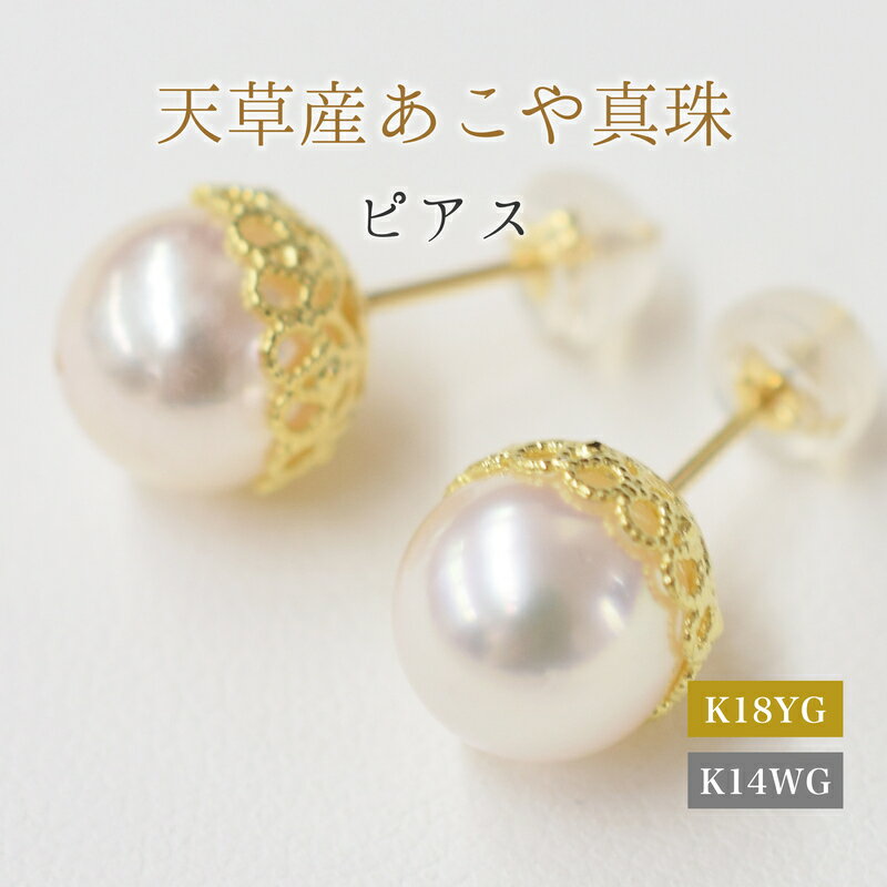 【ふるさと納税】ピアス スタッドピアス あこや真珠 8mm - 8.5mm 菊皿 花型 真珠 本真珠 パール ホワイトピンク 選べる 金具 K18YG K14WG アクセサリー ジュエリー 品質保証書 ジュエリーケース 真珠てりクロス お取り寄せ 熊本県 天草市 送料無料