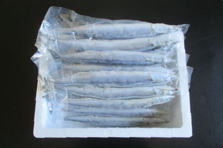 [12月21日決済分まで年内配送]【北海道根室産】冷凍生さんま500g×4P（計2kg） A-19016