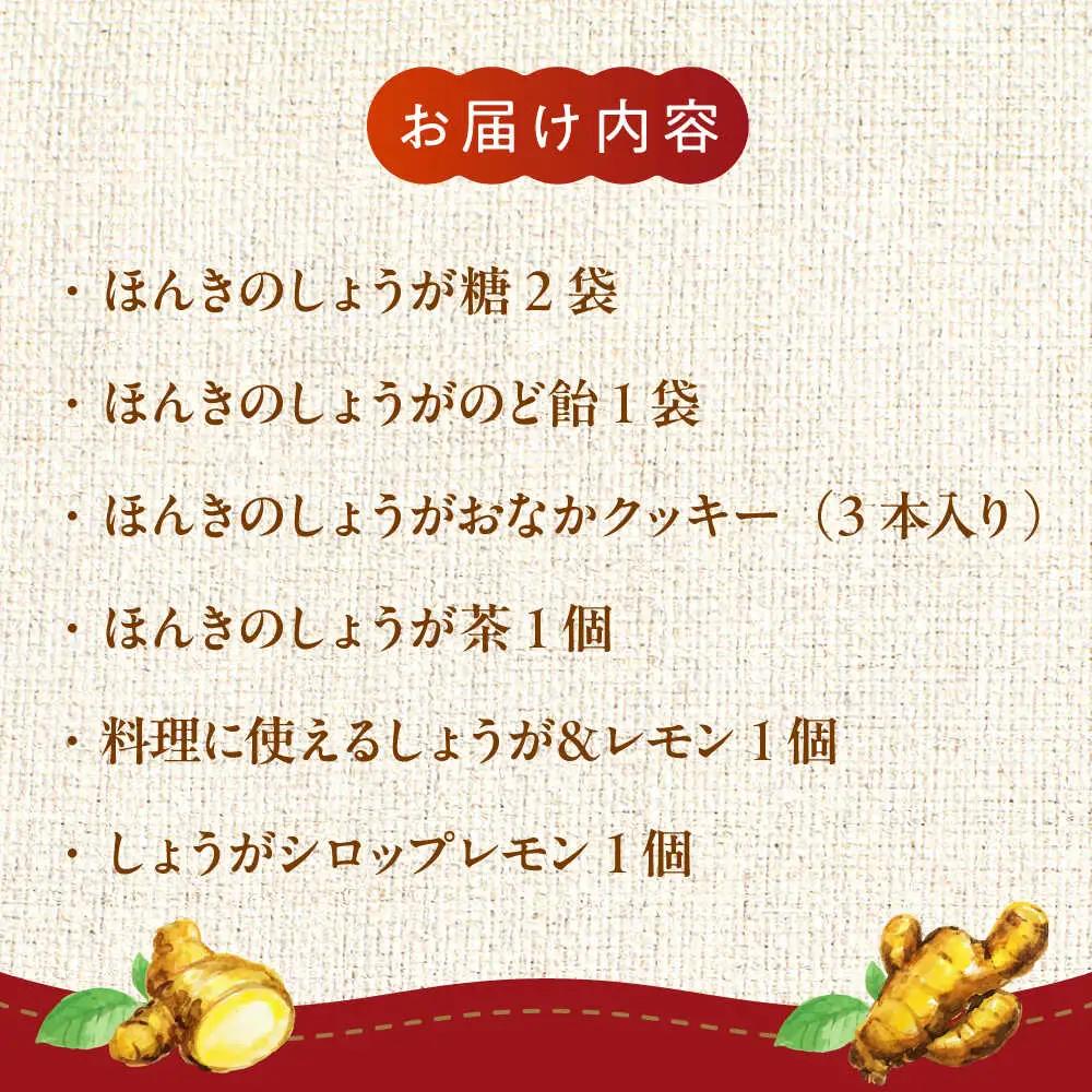 【ほんきのしょうが】はたらくオトナ女子のカラダケアセット詰合せ[AYAD007]