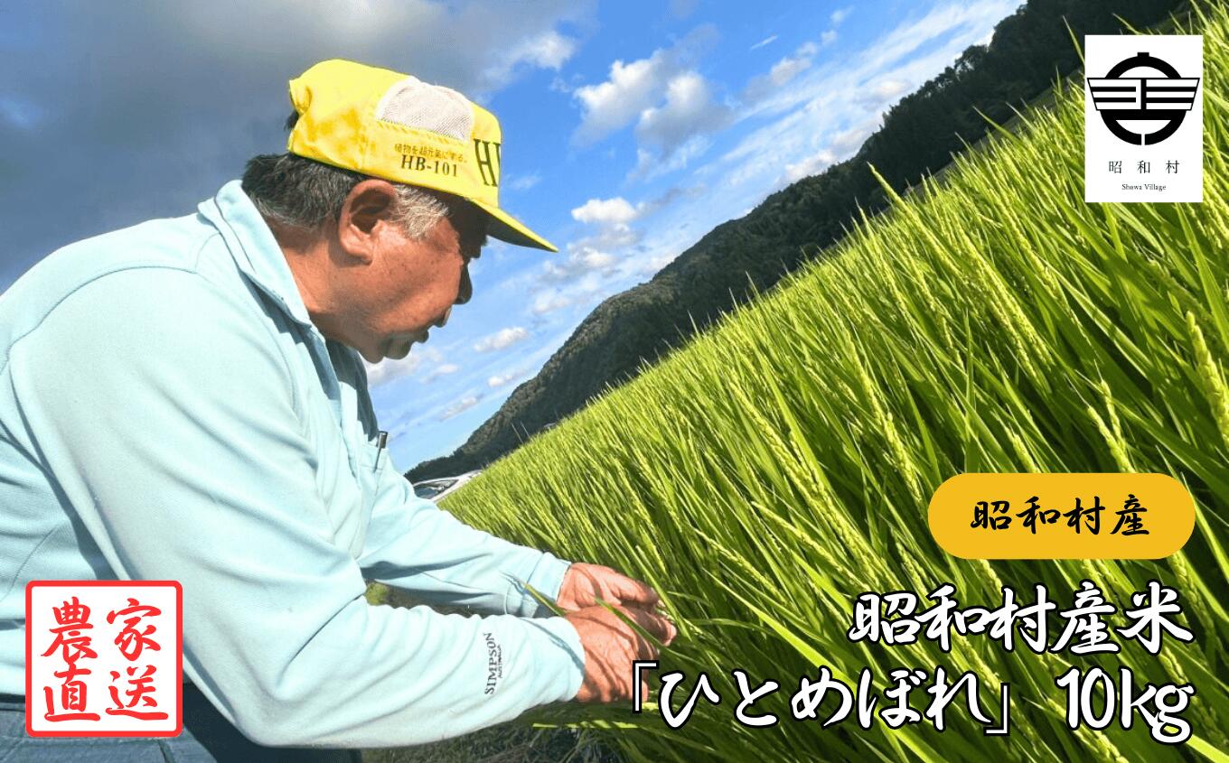 【ふるさと納税】昭和村産米「ひとめぼれ」10kg 米 精米 ひとめぼれ お米 こめ コメ 自然乾燥米 10kg 白米 ご飯 おすすめ お中元 お歳暮 ギフト 昭和村 ふくしま 福島県 送料無料【山内常一】