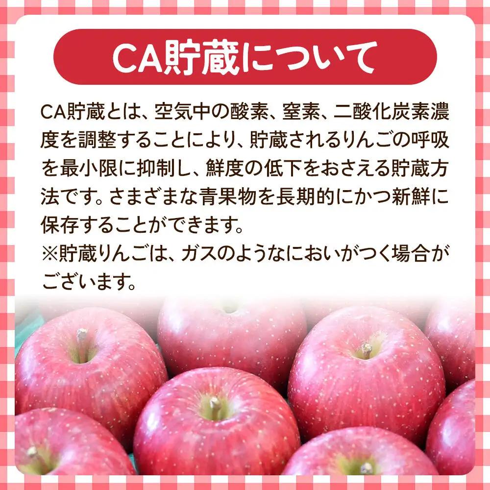 りんご 有袋ふじ 訳あり 約5kg【5月クール便発送】りんご