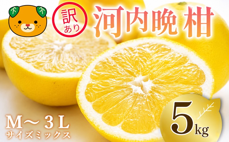 
                   訳あり 河内晩柑 5kg サイズミックス お試し 家庭用 樹齢 20年 以上 古木 和製 グレープフルーツ 愛南ゴールド 直送 フルーツ 人気 柑橘 爽やか 甘み ジューシー 果汁 旬の果物 くだもの みかん サイズ不揃い 産地直送 農園直送 春 味覚 初夏 デザート ジュース おすすめ 生搾り デザート ゼリー 愛媛県 愛南町 清家ばんかんビレッジ
                
