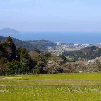 ふるさと納税 糸島市 【定期便】福吉産のお米 ＜ 6回コース ＞ 夢つくし 5kg 糸島市[ABB014] |  | 02