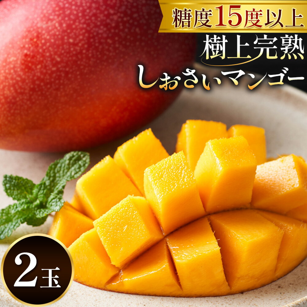 【ふるさと納税】マンゴー 果物 和歌山県産 樹上完熟しおさいマンゴー 2玉 《2026年8月上旬-8月下旬頃出荷》 日高川町厳選館 和歌山県 日高川町 フルーツ 完熟 送料無料 贈答 プレゼント ご褒美 青果物