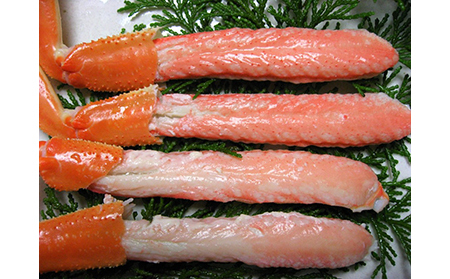 【C-37】鳥取網代港　地元で大人気　浜茹で！若松葉ガニ（中5枚10肩）【さかなや新鮮組】