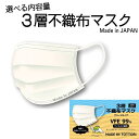 【ふるさと納税】選べる内容量 不織布マスク 鳥取県 岩美町産 日本製 国産 マスク 衛生 日用品 生活用品 雑貨 花粉対策