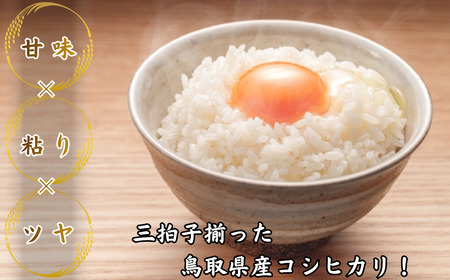 Y1072 鳥取県産「コシヒカリ」精白米10kg（令和7年産）
