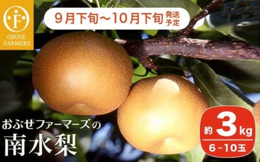 南水 秀品 約3kg 6～10玉 [おぶせファーマーズ]   梨 なし フルーツ 果物 クール便 冷蔵便 長野 信州 先行予約 数量限定 令和8年産 【2026年9月下旬～10月下旬発送】［F-31］
