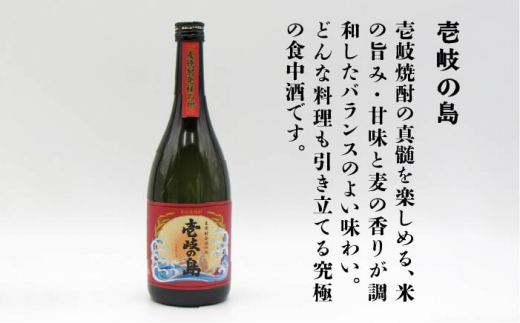 【全6回定期便】壱岐の島 25度と壱岐の島 かめ貯蔵 25度のセット [JDB223] 66000 66000円