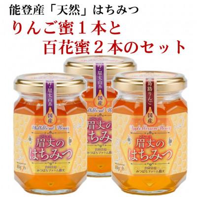 ふるさと納税 羽咋市 能登産天然はちみつ『りんご蜂蜜&百花蜂蜜2本』セット |  | 01