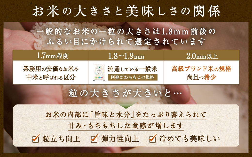 阿蘇だわらプレミアム米精米15kg（5kg×3袋）