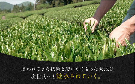 発酵和茶 Trinitea 二番茶リーフタイプ 50g 和紅茶 紅茶 茶葉 リーフ ギフト 白川町 / ヨリスグリ[AWBV003]