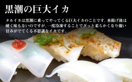 イカ 小分け パック いか タルイカ もちもち 不揃い 訳あり 高知県 須崎市