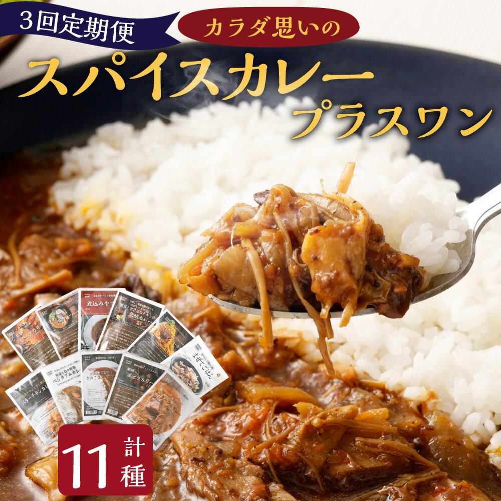 【ふるさと納税】【3回定期便】カラダ想いのスパイスカレープラスワン（カレー4種×2回、カレー2種ときのこご飯の素1種2袋×1回） 1ヶ月毎 中辛 辛口 大人の甘口 ご飯の素 きのこ 牛すじ ベジタブル チキン ポーク ビーフ 牛肉 豚肉 鶏肉 お肉 カレー 惣菜 冷蔵 送料無料