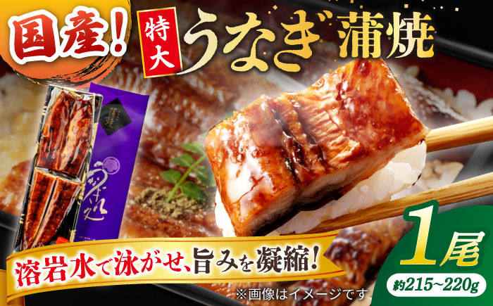 
                  うなぎ蒲焼 うなぎ老舗専門店のパリっとふっくら国産うなぎ 蒲焼1尾(蒲焼のタレ付き) 島根県松江市/株式会社山美世商会 [ALDC003]｜国産 うなぎ ウナギ 鰻 秘伝のタレ 蒲焼き 国産 島根 松江 おすすめ 人気 1匹 一尾 うな丼 うな重 ひつまぶし 土用の丑の日 魚介 魚介類 海鮮 おかず 惣菜 おつまみ 肴 ご当地 グルメ お取り寄せ おいしい ギフト プレゼント 贈り物
                