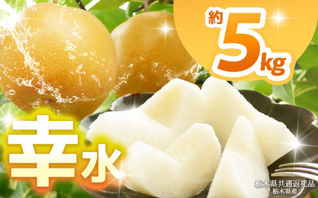 【栃木県共通返礼品】【2026年先行予約】幸水 約5kg  | 梨 なし ナシ 新品種 先行予約 大粒 新鮮 甘い 美味しい 果物 くだもの フルーツ ふるーつ 共通返礼品 フルーツ デザート 栃木県 那珂川町