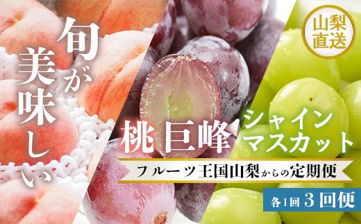 3回定期便 数量限定 山梨 桃 もも 巨峰 シャインマスカット シャイン 山梨県 笛吹市 高評価 産地直送 ランキング ご家庭用 ギフト プレゼント 盛り合わせ フルーツ 154-028