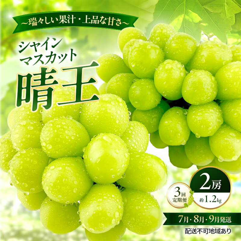 【ふるさと納税】ぶどう 2026年 先行予約 定期便 シャインマスカット 晴王 2房 約1.2kg 7月・8月・9月 3回発送 岡山県産 種無し 皮ごと食べる みずみずしい 甘い 瀬戸内 晴れの国 おかやま 果物大国 満天フルーツ　お届け：2026年7月1日～2026年9月30日