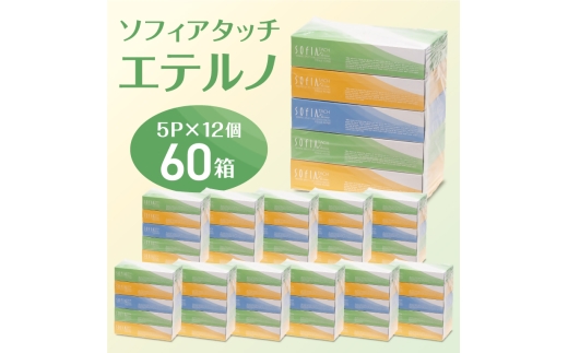0012-107-01 マスコー製紙 ソフィアタッチ エテルノ ティッシュペーパー 150組×5箱×12パック (60箱)