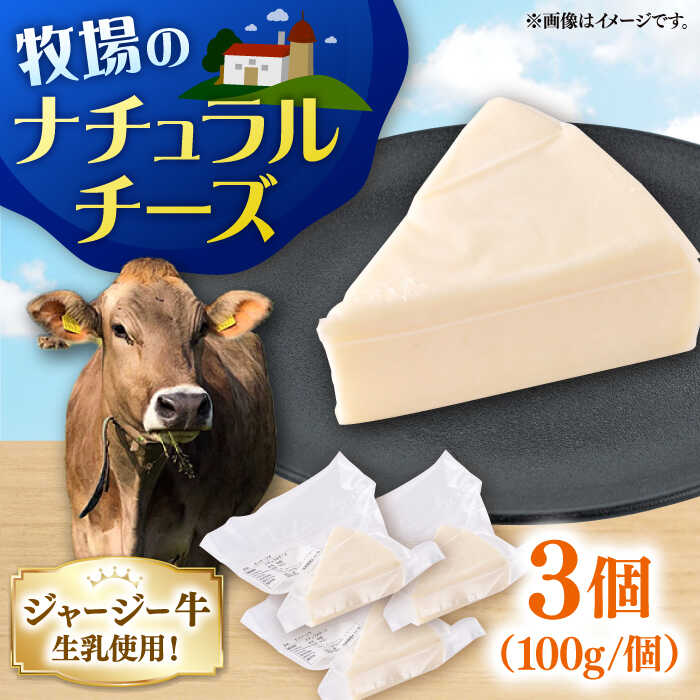 【ふるさと納税】チーズ ナチュラルチーズ 3個セット ちーず 牧場 ジャージー牛 生乳 ナチュラル チーズ 牧場直送 クリーミー 神奈川 横須賀【よこすか関口牧場】[AKGN010] 7000円 7千円