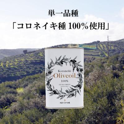 ふるさと納税 筑紫野市 筑前たなか油屋のEXVオリーブ油　450g