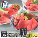 【ふるさと納税】 定期便 まぐろ ネギトロ 中トロ 冷凍 魚 焼津 海からの贈り物 天然 鮪 三昧 南鮪 目鉢鮪 3回 お届け 【定期便 3回】 a30-232