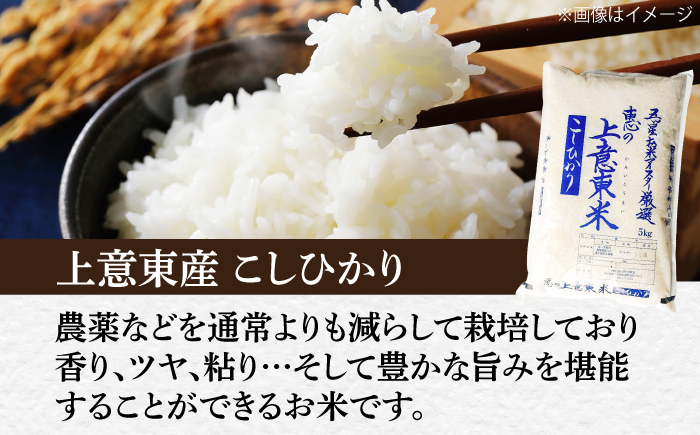 【先行予約】【2026年10月以降発送】新米コシヒカリ5kg 島根県松江市/株式会社沼田米穀店 [ALBU018]
