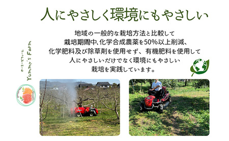 生産農家直送 信州りんご発祥の地・長沼産 長沼りんご サンふじ(ご家庭用) 約10kg サイズミックス 長野県産 栽培期間中化学肥料不使用 除草剤不使用 人にやさしく環境にもやさしい