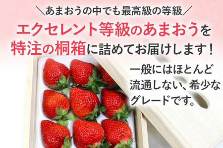【2027年発送先行予約】ティッシュボックス用特別仕様の桐箱入りプレミアムあまおう　あまおうEX400ｇｘ1パック　ギフト、お祝い、贈答用 お取り寄せグルメ お取り寄せ 福岡 お土産 九州 福岡土産 