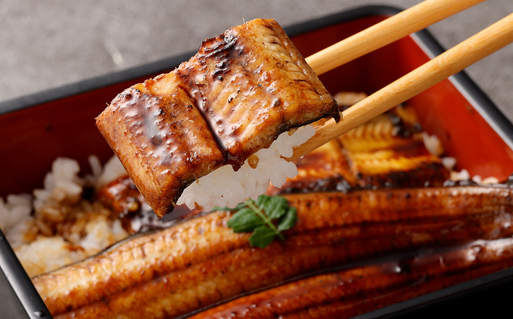 熊本県産天然ウナギ素焼き（肝付） 約260g