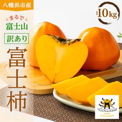 ふるさと納税 八幡浜市 【2026年発送】目利きのプロが選ぶ　訳あり富士柿10kg【E56-38】