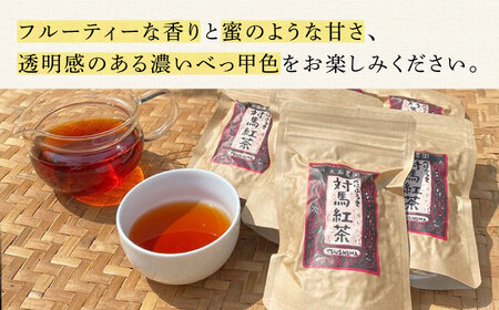 おうちで 紅茶 づくり 体験キット（Webショップで使えるクーポン付）《対馬市》【つしま大石農園】 国産 ティー[WBE010] コダワリ紅茶 こだわり紅茶 おすすめ紅茶 おススメ紅茶 人気紅茶 定番
