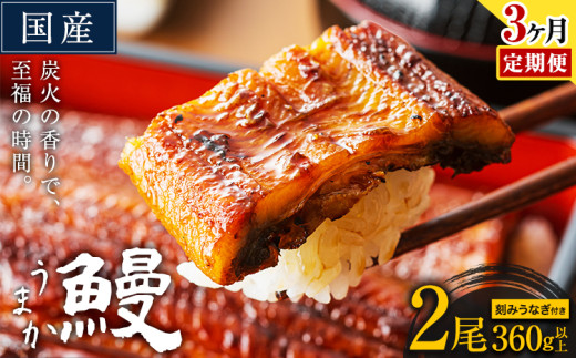 【3ヶ月定期便】国産 うまか鰻 特上サイズ 2尾 計360g以上《お申込み翌月から発送(土日祝除く)》 九州産 たれ さんしょう 付き ウナギ 鰻 unagi 蒲焼 うなぎの蒲焼 惣菜 ひつまぶし きざみうなぎ 特大サイズ 訳あり 定期便 蒲焼き ふるさとのうぜい