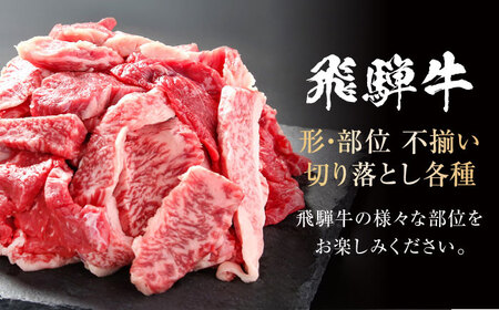 【訳あり】 飛騨牛 焼肉 切り落とし 1kg(500g×2パック) 多治見市 / 飛騨高山ミート MZ036 冷凍 真空パック ブランド和牛[THP027]