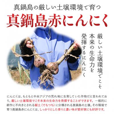 ふるさと納税 笠岡市 真鍋島赤にんにくしょうゆ漬け2個セット　A-193 |  | 02