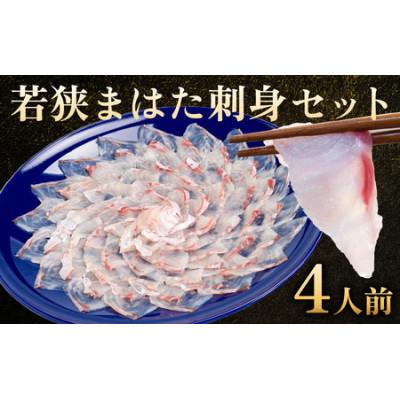 ふるさと納税 小浜市 若狭マハタ刺身4人前