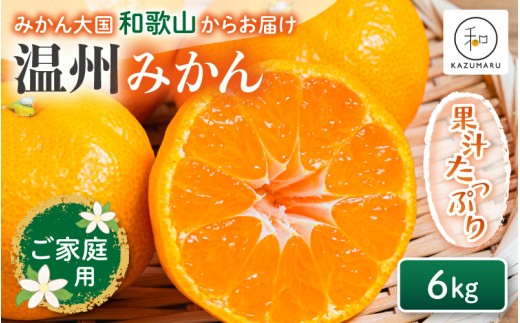 【家庭用】 森本農園の手選別 みかん 約6kg 和歌山県産 2S~2Lサイズ混合 【北海道・沖縄・離島配送不可】【2025年11月上旬～2026年2月中旬ごろに順次発送】【RN30】
