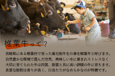 宮崎県産 椎葉牛 サーロインステーキ 200g A5等級指定 国産牛 黒毛和牛 和牛 牛肉 赤身 お肉 A5 サーロイン ステーキ 焼肉 TK-25