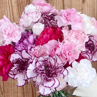 ふるさと納税 月形町 【北海道月形産】カーネーション4品種・20本以上をミックス　旬の花　切り花用延命剤付き |  | 02